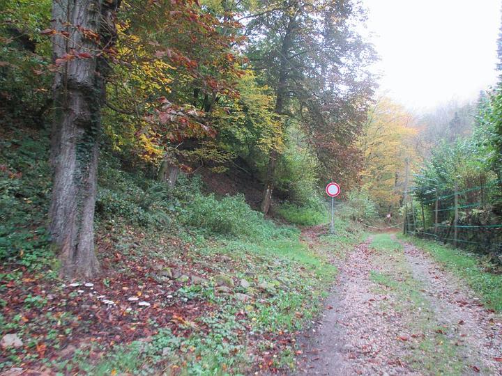 06.jpg